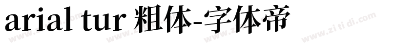 arial tur 粗体字体转换